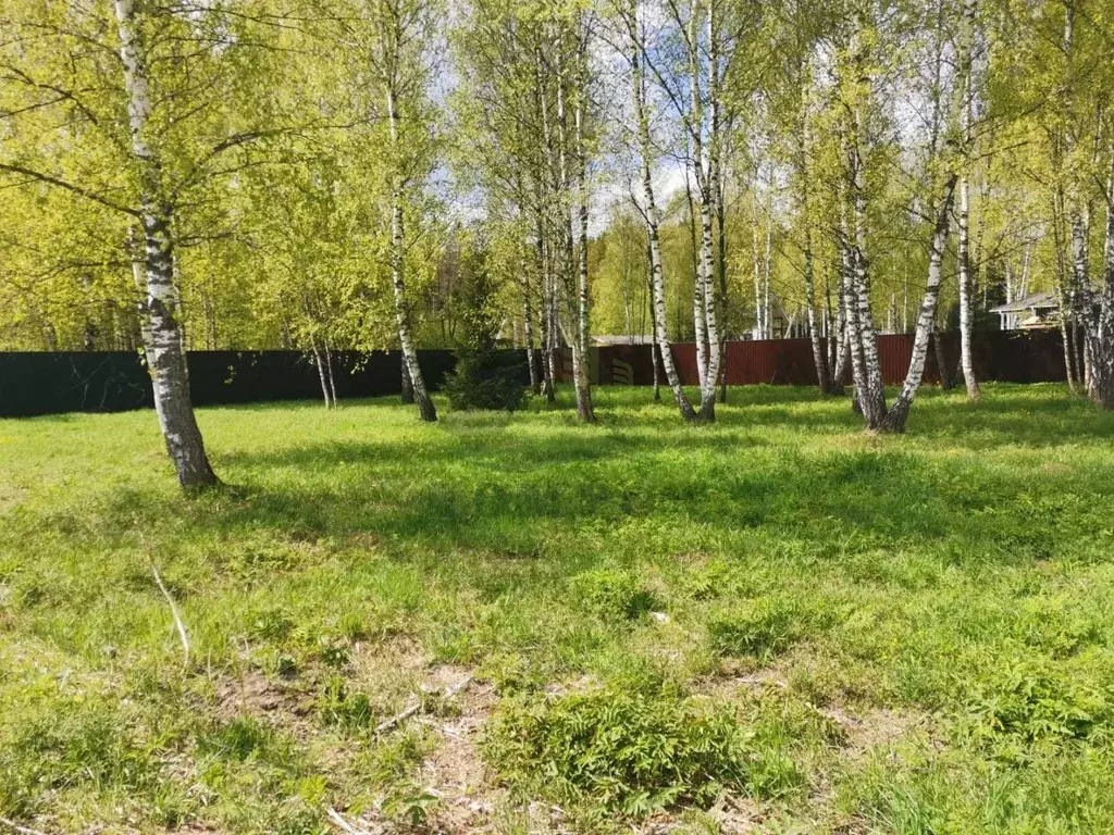 Участок в Московская область, Раменский муниципальный округ, Гжельский ... - Фото 0