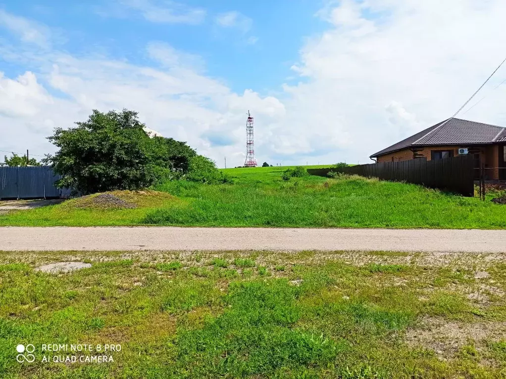 Участок в Белгородская область, Волоконовка рп ул. Калинина (13.0 ... - Фото 0