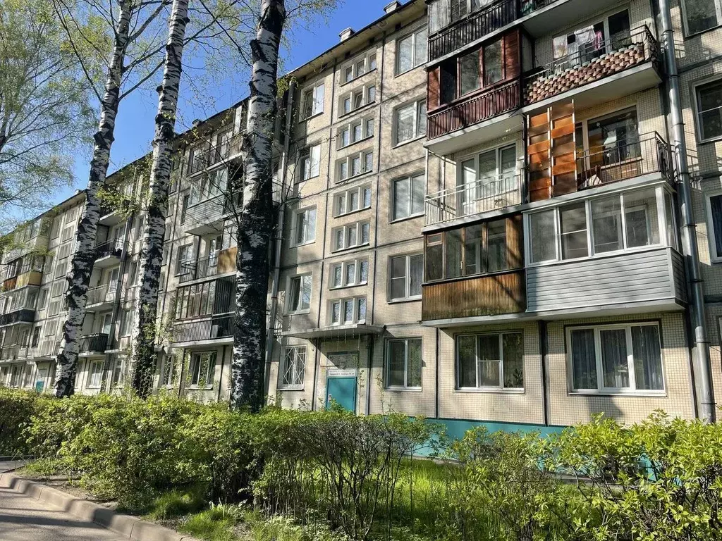 1-к кв. Санкт-Петербург ул. Верности, 14К3 (30.9 м) - Фото 0