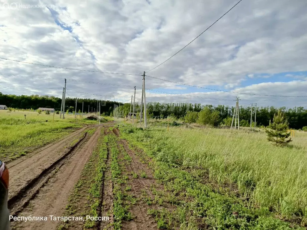 Участок в Мензелинск, Родниковая улица, 44 (10 м) - Фото 0
