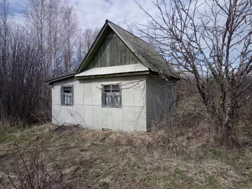 Дом в Вологодская область, Сокольский муниципальный округ, Ромашка-2 ... - Фото 1