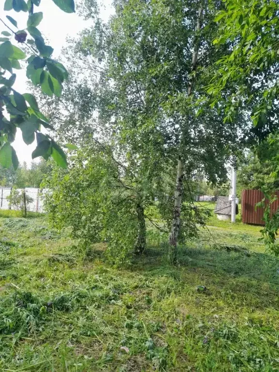 Участок в Московская область, Ступино городской округ, Лада СНТ 98 ... - Фото 1