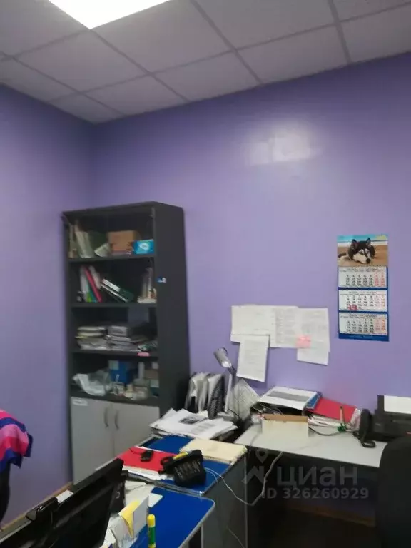 Помещение свободного назначения в Камчатский край, Усть-Камчатский ... - Фото 1