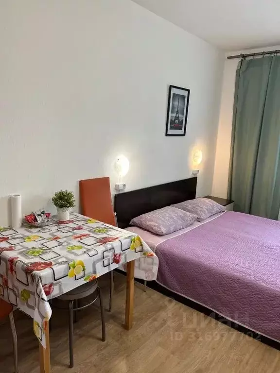 Студия Санкт-Петербург просп. Энергетиков, 11к5 (27.0 м) - Фото 0