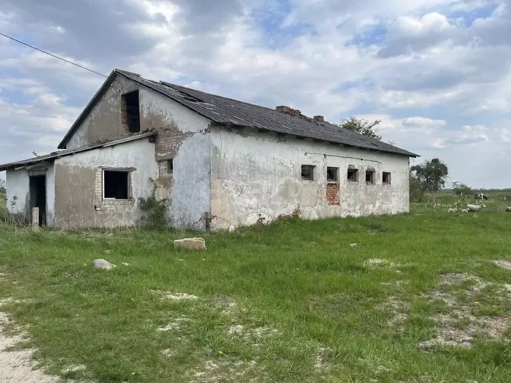 Помещение свободного назначения в Калининградская область, Полесский ... - Фото 1