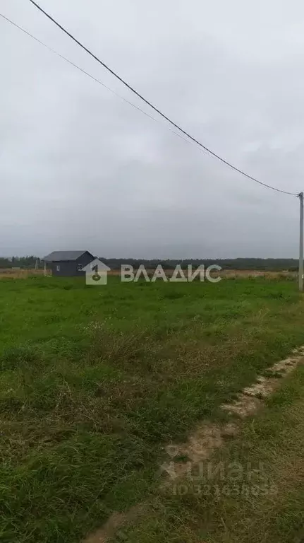 Участок в Владимирская область, Собинский муниципальный округ, Новое ... - Фото 2