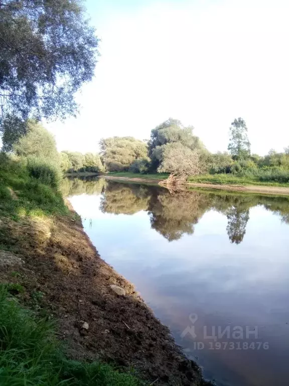 Участок в Новгородская область, Новгородский район, Бронницкое с/пос, ... - Фото 0