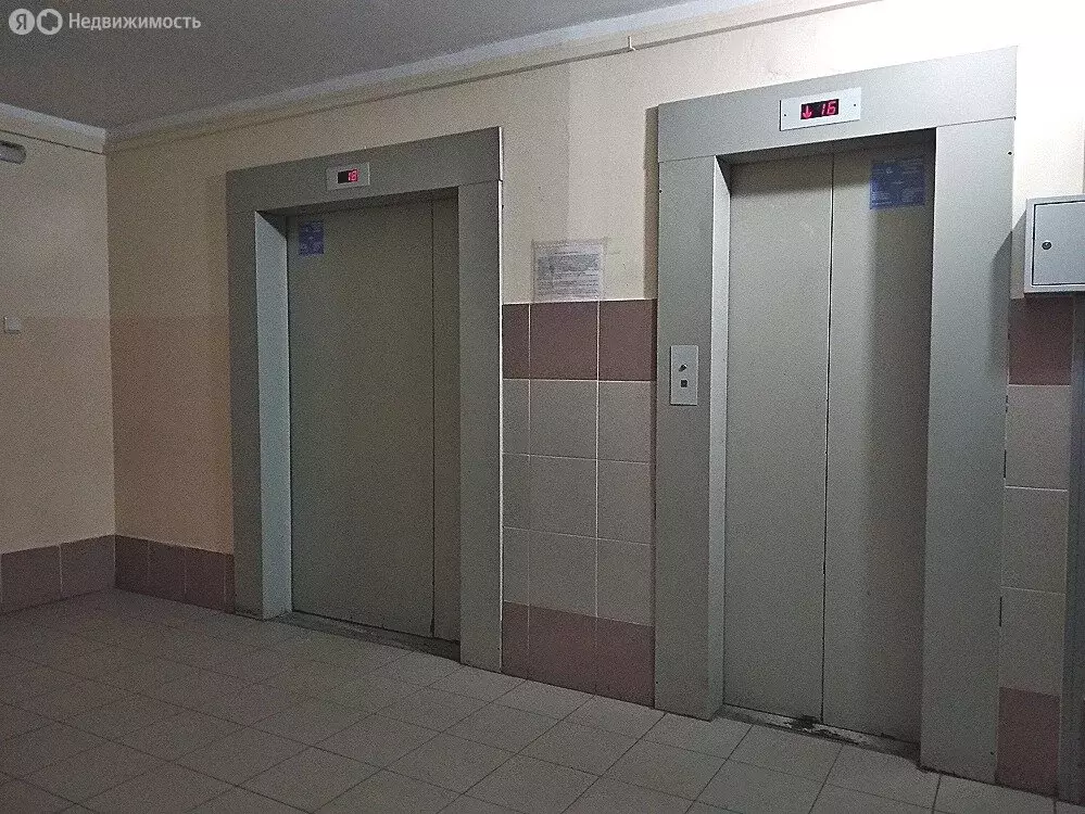 1-комнатная квартира: Санкт-Петербург, Богатырский проспект, 56к1 ... - Фото 1