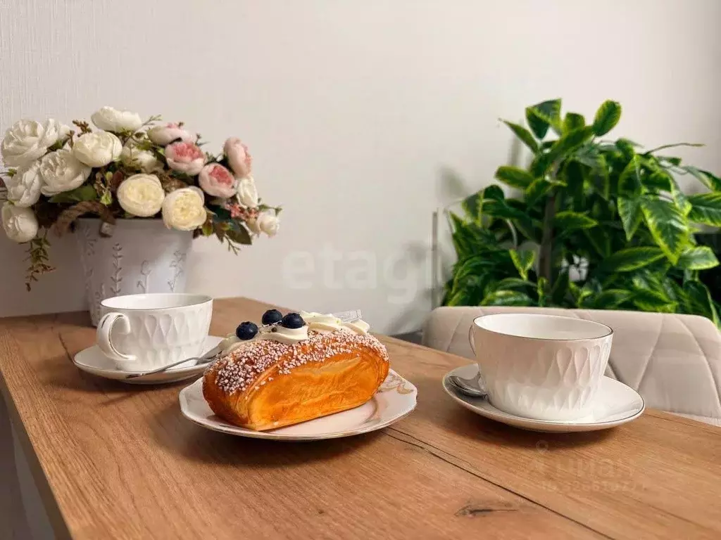 Студия Ленинградская область, Ломоносовский район, Виллозское ... - Фото 2