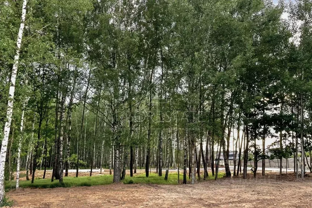Участок в Московская область, Красногорск городской округ, д. ... - Фото 2