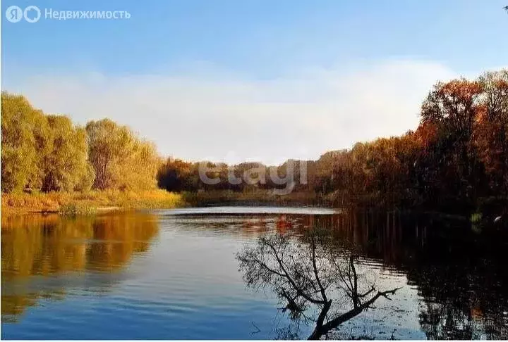 Участок в село Пески, улица Теплякова (22 м) - Фото 1