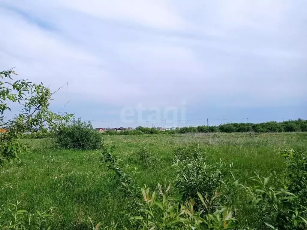 Участок в Тюменская область, Тюменский район, д. Есаулова, Клюква кп  ... - Фото 0