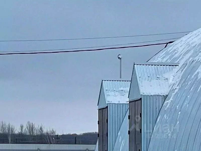 Склад в Московская область, Раменский городской округ, пос. Ганусово  ... - Фото 1