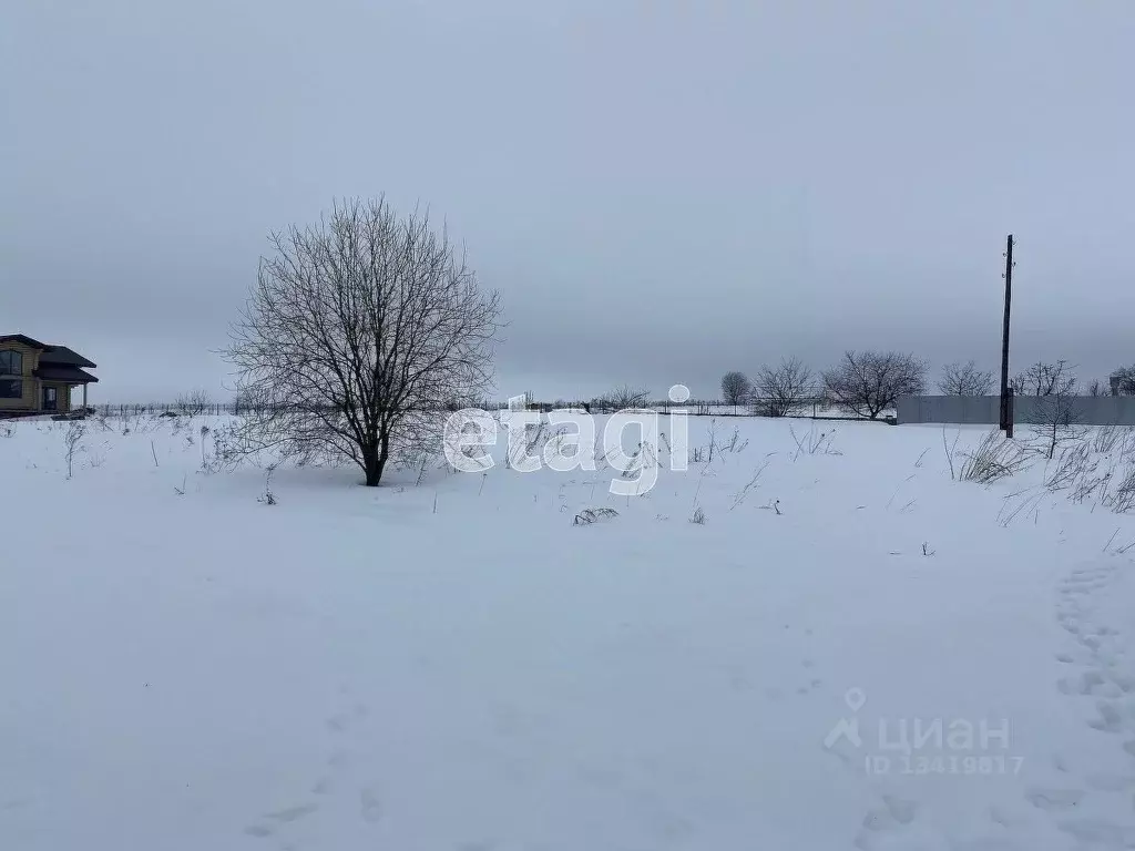 Участок в Брянская область, Брянский район, Добрунское с/пос, д. ... - Фото 0