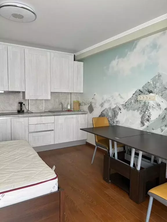 Квартира-студия, 26,5 м, 4/5 эт. - Фото 0
