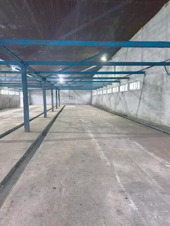 Производственное помещение в Московская область, Раменский ... - Фото 2