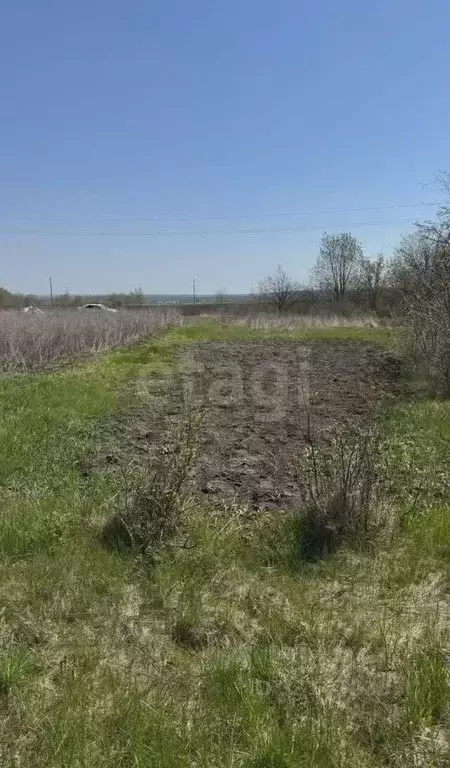 Участок в Курская область, Курский район, Новопоселеновский сельсовет, ... - Фото 1