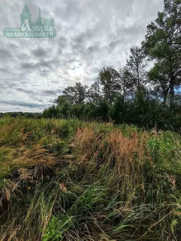 Участок в Смоленская область, Смоленск пос. Миловидово,  (80.0 сот.) - Фото 1