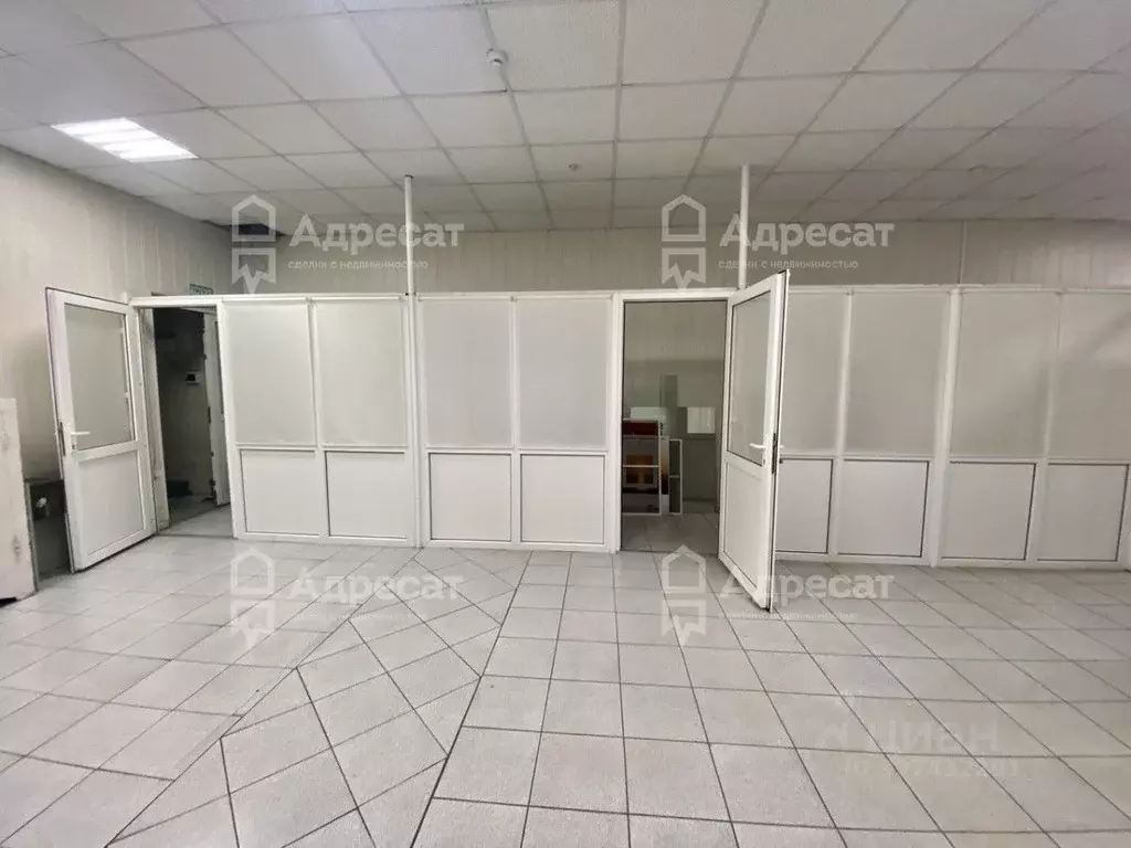 Офис в Волгоградская область, Волгоград ул. Доценко, 43 (33 м) - Фото 2