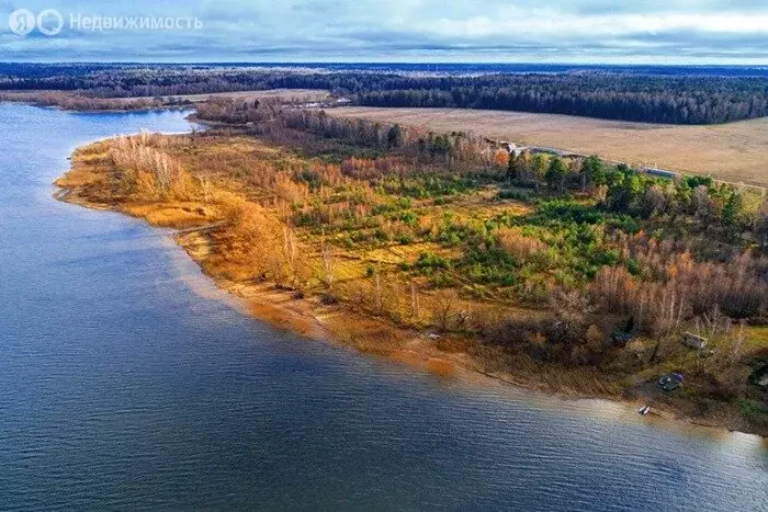 Участок в Московская область, Рузский муниципальный округ, КП Озерна ... - Фото 1