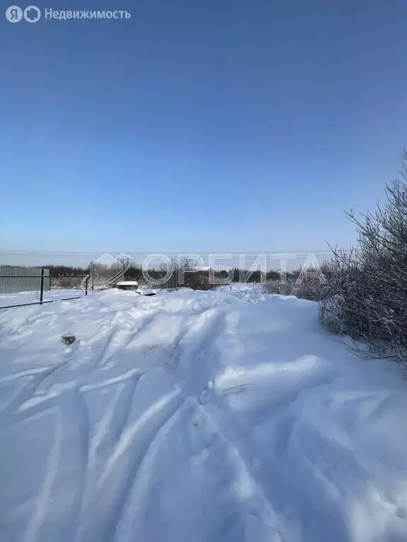 Участок в Тюмень, садоводческое некоммерческое товарищество ... - Фото 2