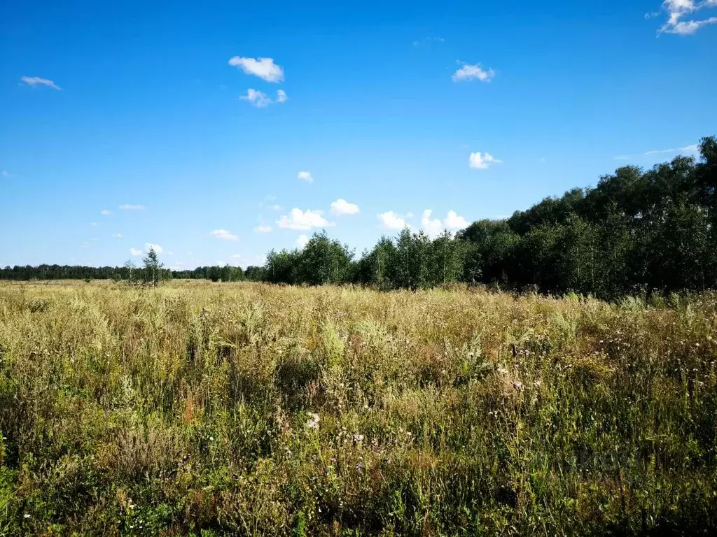 Участок в Омская область, Омский район, Усть-Заостровское с/пос  (10.0 ... - Фото 0