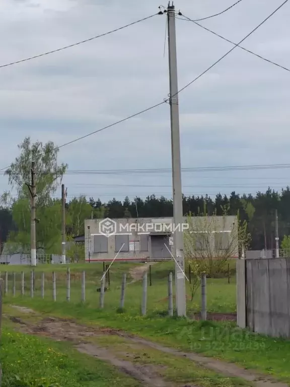 Участок в Брянская область, Выгоничский район, Хутор-Борское с/пос, ... - Фото 2