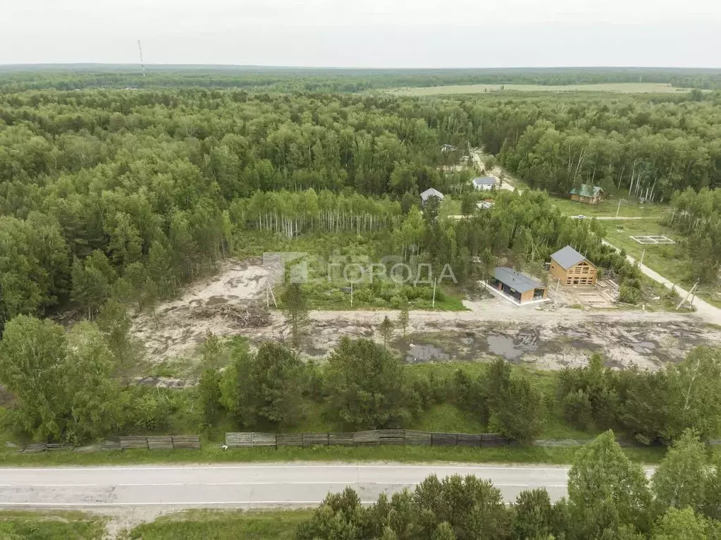 Участок в Новосибирская область, Новосибирский район, Кубовинский ... - Фото 1