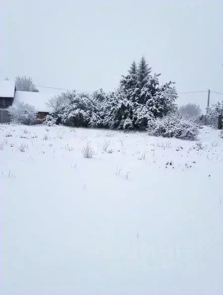 Участок в Ярославская область, Ярославский муниципальный округ, д. ... - Фото 1