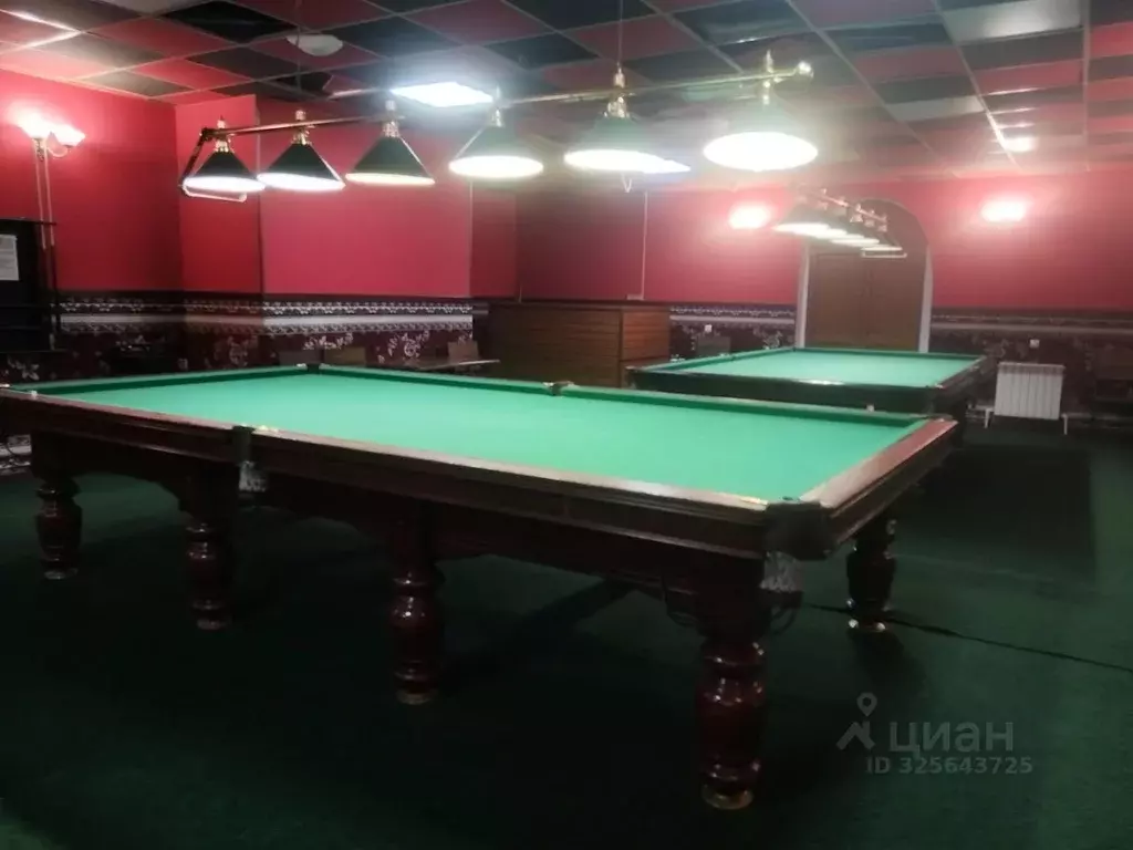 Помещение свободного назначения в Пермский край, Пермь ул. ... - Фото 1