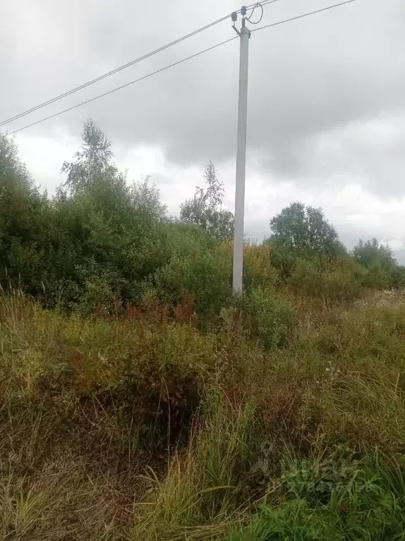 Участок в Тверская область, Конаково Южная ул. (12.0 сот.) - Фото 2