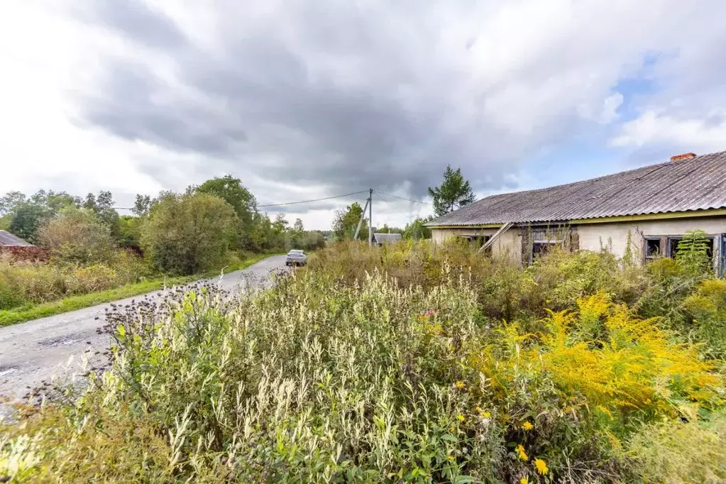 Участок в Хабаровский край, Хабаровский район, Тополевское с/пос, с. ... - Фото 1