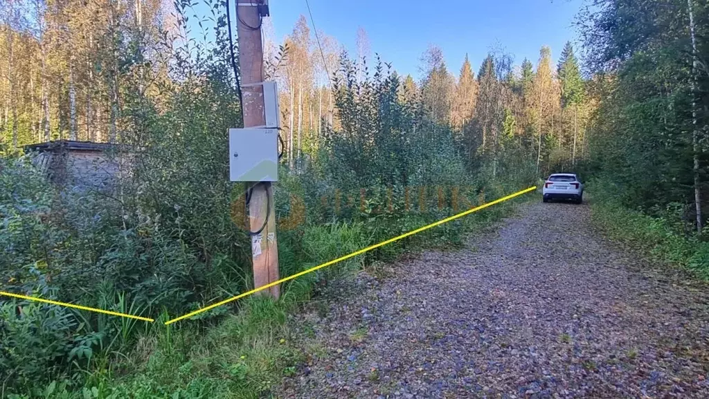 Участок в Ленинградская область, Выборгский район, Рощинское городское ... - Фото 0