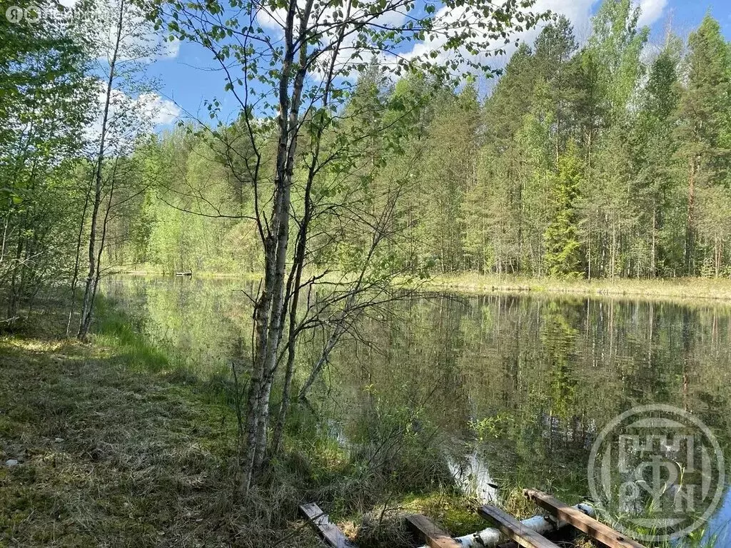 Участок в Лужский район, посёлок Дзержинского (7 м) - Фото 1
