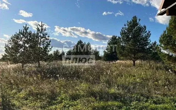 Участок в Башкортостан, Благовещенский район, Николаевский сельсовет, ... - Фото 1