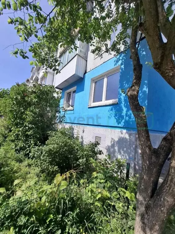 1-к кв. Калининградская область, Балтийск ул. Литке, 2 (31.2 м) - Фото 1