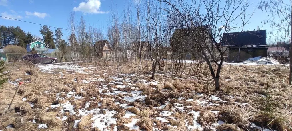 Участок 6 сот. (СНТ, ДНП) - Фото 0