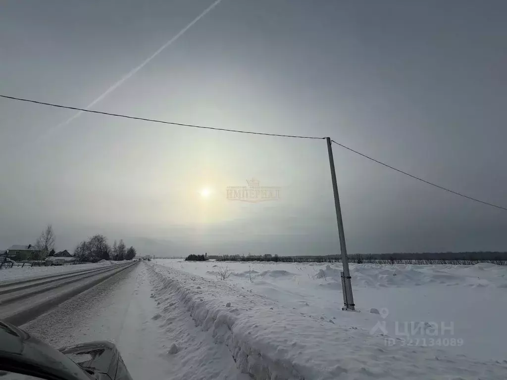 Участок в Марий Эл, Медведевский район, Пекшиксолинское с/пос, д. ... - Фото 2