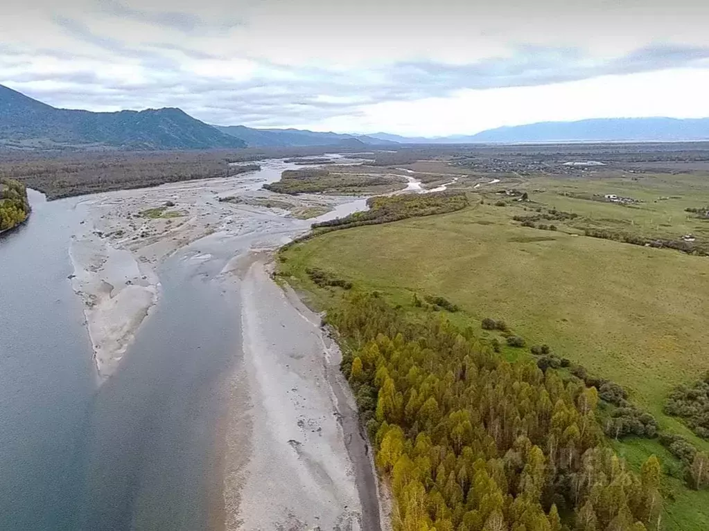 Участок в Алтай, Усть-Коксинский район, с. Горбуново  (100.0 сот.) - Фото 1