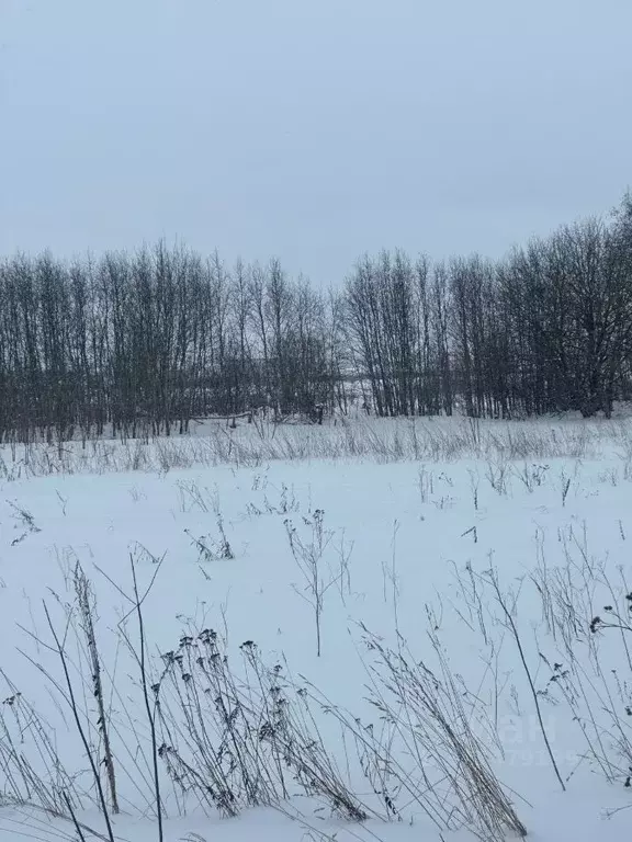 Участок в Ленинградская область, Гатчинский муниципальный округ, д. ... - Фото 2