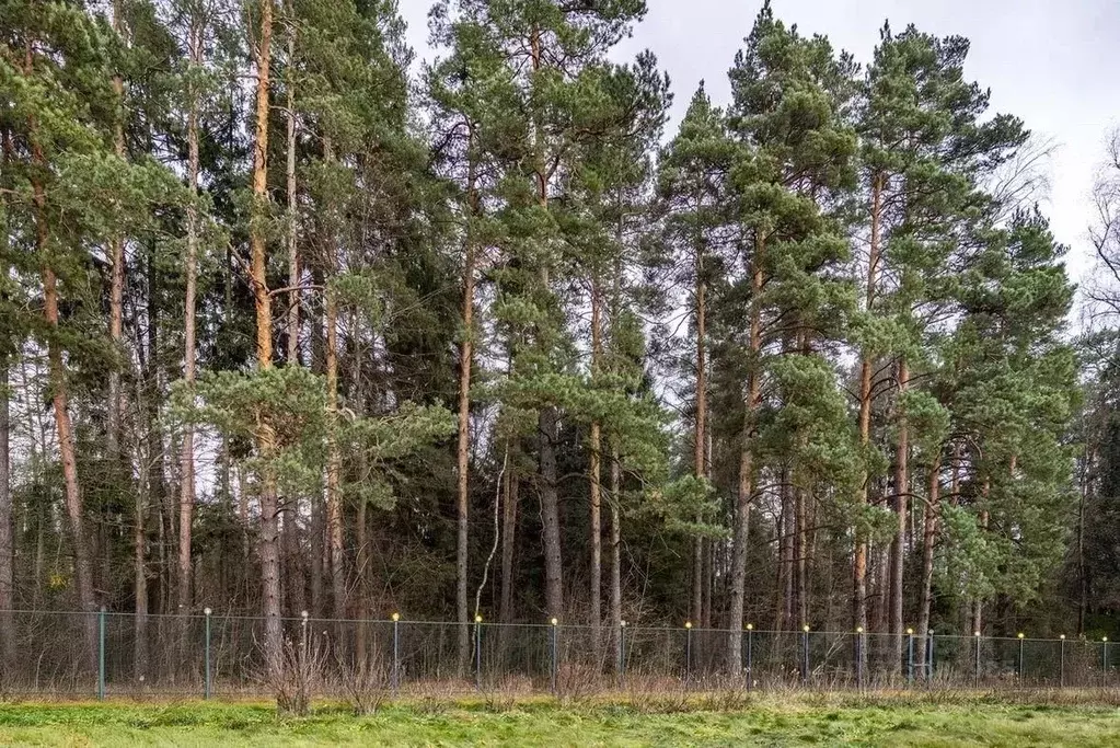 Дом в Московская область, Щелково городской округ, Лосиный Парк кп 133 ... - Фото 1