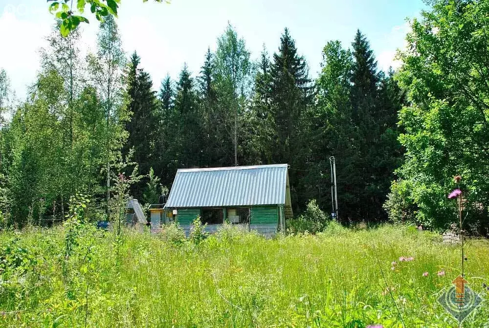 Дом в Наро-Фоминский городской округ, деревня Шапкино (18 м) - Фото 0