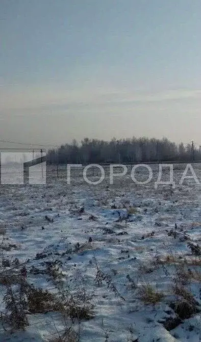 Участок в Новосибирская область, Новосибирский район, Криводановский ... - Фото 1