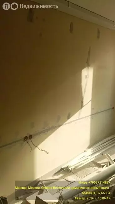 Торговая площадь (110 м) - Фото 2