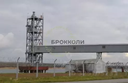 Производственное помещение в Ростовская область, Аксай Заречная ул., ... - Фото 1