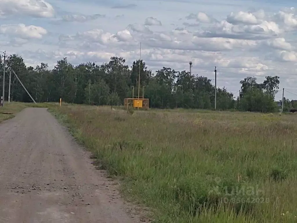 Участок в Омская область, Омский район, с. Розовка Восточная ул. (12.0 ... - Фото 1