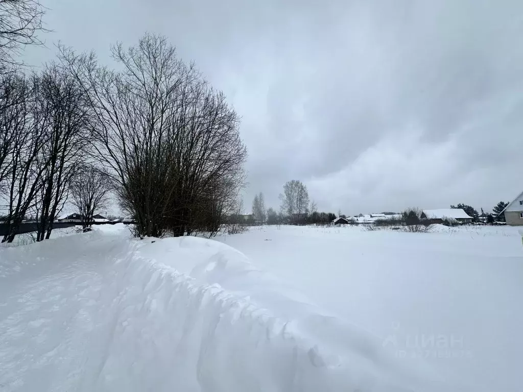 Участок в Костромская область, Костромской район, Кузьмищенское с/пос, ... - Фото 1