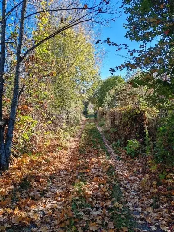 Участок в Мордовия, Саранск Дорожник СТ,  (5.6 сот.) - Фото 2