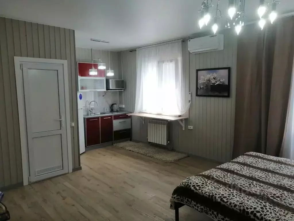Студия Краснодарский край, Сочи Пластунская ул., 26 (26.0 м) - Фото 1