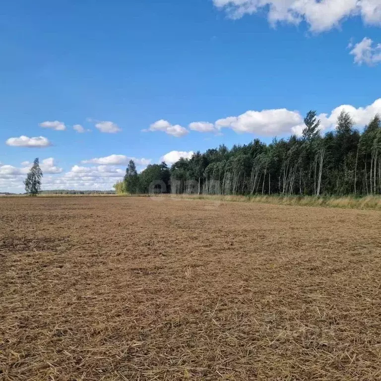 Участок в Забайкальский край, Читинский район, с. Арахлей ул. 2-я ... - Фото 1